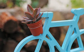 PORTABICI... SEMPLICE CARICO SPORGENTE!