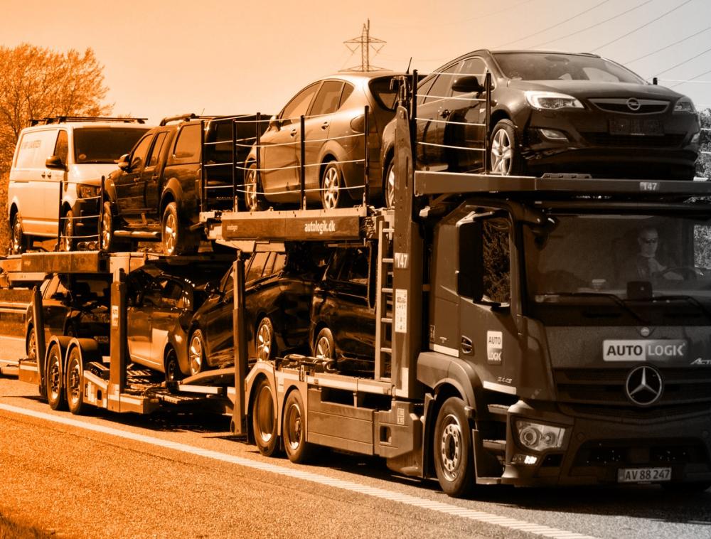 Nazionalizzazioni / Immatricolazioni